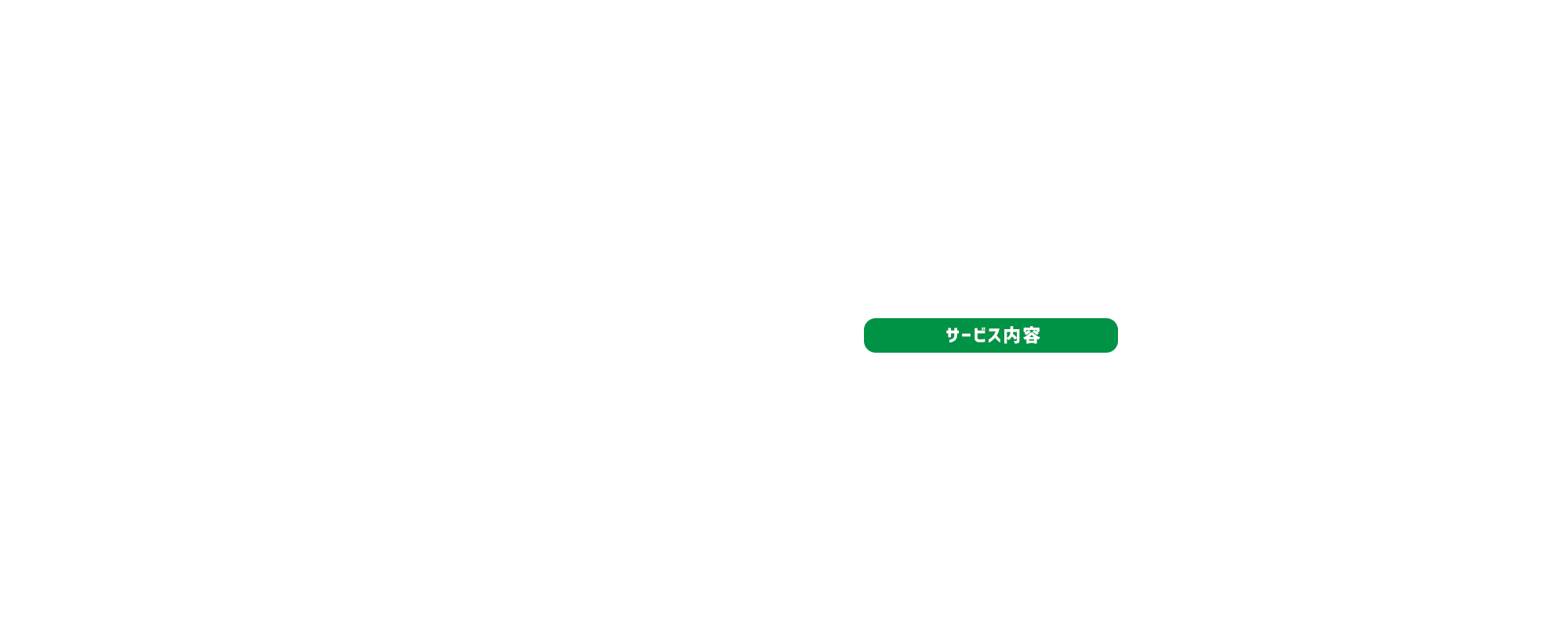 事業内容